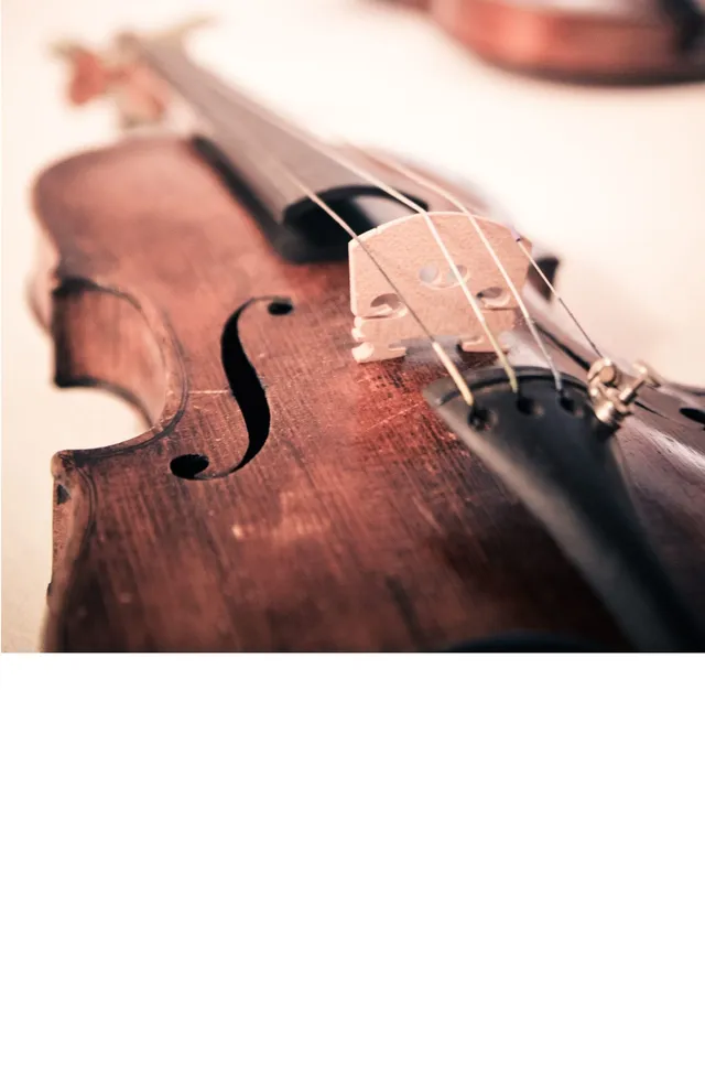 Clean studio-style close-up of two violins for North Carolina wedding music packages