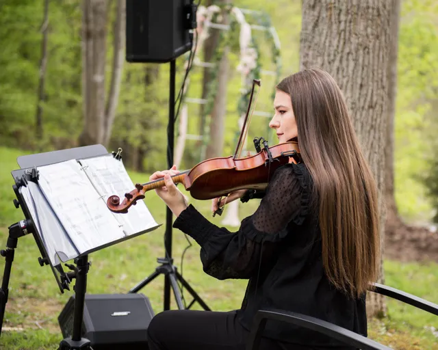 Spring garden violin profile with floral arch in background